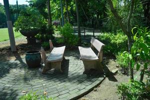 corner view of the park with benches for seating photo