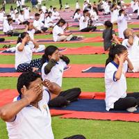 New Delhi, India, June 21 2022 - Group Yoga exercise session for people at Yamuna Sports Complex in Delhi on International Yoga Day, Big group of adults attending yoga class in cricket stadium photo