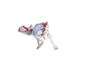 Protoceratops  , dinosaur on  isolated background photo