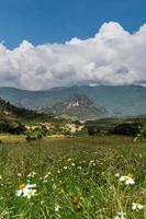 paisaje de montaña con carretera en nan tailandia foto