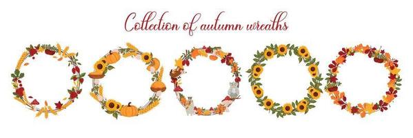 Set autumn wreaths with pumpkins, wheat, berries and mushrooms, and autumn leaves, with space for text. Vector illustration isolated white background.