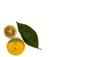 Tangerine, dried lemon wedge and leaf. photo