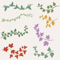 Simplicity ivy drawing flat design collection. vector