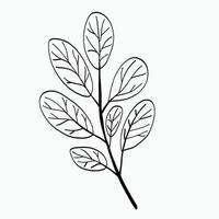 Simplicity floral freehand drawing flat design. vector