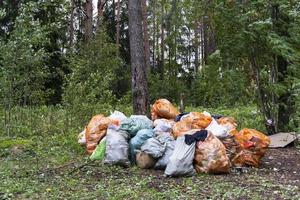 bolsas con basura recolectada en el bosque, el concepto de protección ambiental, cuidado de la naturaleza, día de la tierra foto