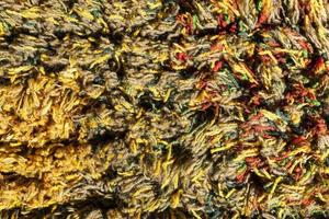 Background of a multi-colored shaggy carpet, Multi-colored rug, macro photography. Abstract texture of long-piled carpet photo