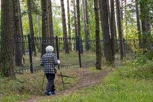 An energetic elderly woman is engaged in Nordic walking in the park in the summer photo