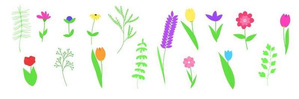 Set of spring flower and leaves for any composition for summer or spring banner. Vector illustraiton.