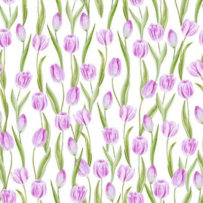 Tulip Vector Art, Icons, and Graphics for Free Download
