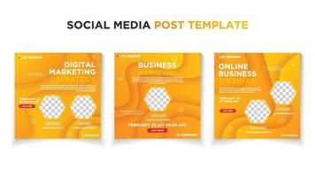 Webinar social media post template collection. Modern social media post bundle vector, Design editable template for social media posts, banners, flyers, and website. vector