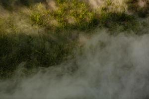 Close-up at combustion of a big pile of dried wood and straw. Opaque smoke over a heap, forest and grass in background photo