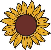 color de flor de girasol. diseño de ilustración vectorial vector