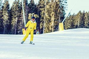 Female On the Ski photo