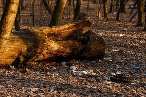 basura dispersa ilegal en bolsas de plástico azul vertedero en bosques sobre hierba fresca a principios de la temporada de primavera, limpiar el mundo foto