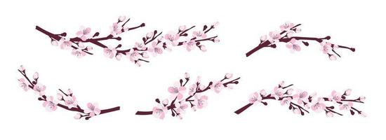 flor de cerezo. un conjunto de ramas con flores de cerezo aisladas en un fondo blanco. sakura japonés. ilustración vectorial vector