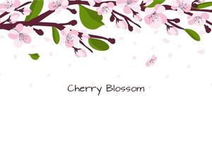 Background with cherry blossom. A branch with cherry blossoms isolated on a white background. Japanese sakura. Vector illustration