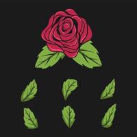 illustration rose with leaf isolated dark background vector