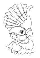 Parrot exotic bird coloring template vector illustration