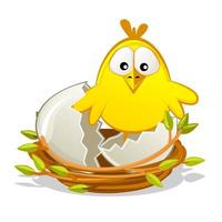 Isolated vector Newborn chicken in nest, Easter object