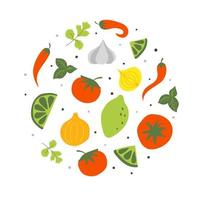 Set of fresh raw ingredients for mexican tomato sauce salsa. Flat vector illustration