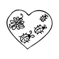 Vector doodle linear heart with flower and ladybug inside. Isolated outline heart shape on white background