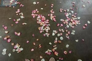 rose petals and rice scattered on a grey surface photo