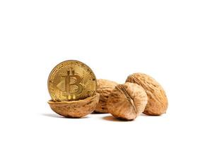 Cryptocurrency physical gold bitcoin coin in pistachios walnuts white isolated photo