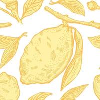 Seamless pattern lemons seamless pattern. Vintage background with whole lemon, sliced, half, leaf and seed in hand drawn style. Citrus design texture for print, fabric, wrapping, wallpaper, tissue. vector