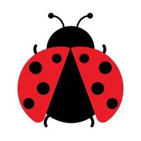 Ladybug Royalty Free Vector Image - VectorStock