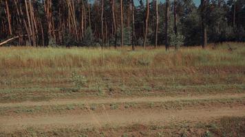 cute young woman driving a Bicycle in the field video