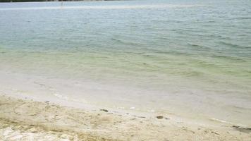 charming young blonde walks on a seashore summertime video