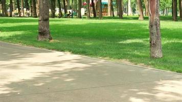 fille sur patins à roulettes sur route dans le parc video