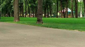 una joven delgada monta sobre rodillos en la carretera del parque video