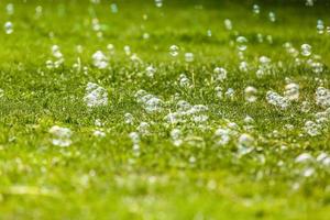 Bubbles on grass background photo