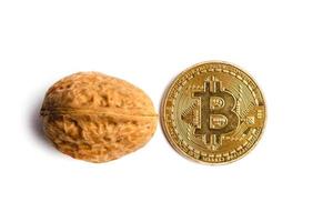 Cryptocurrency physical gold bitcoin coin in pistachios walnuts white isolated photo