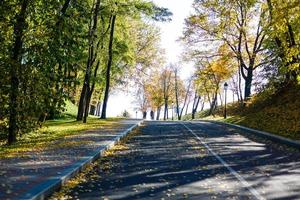 Beautiful romantic alley in a park with colorful trees and sunlight. autumn natural background photo