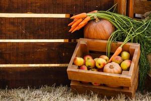 alimentos saludables, alimentación saludable: frutas y verduras orgánicas frescas foto