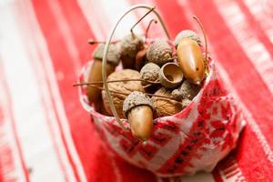 brown acorns on autumn leaves, close up photo