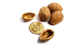 Cryptocurrency physical gold bitcoin coin in pistachios walnuts white isolated photo