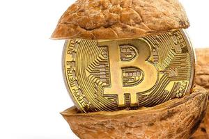 Cryptocurrency physical gold bitcoin coin in pistachios walnuts white isolated photo