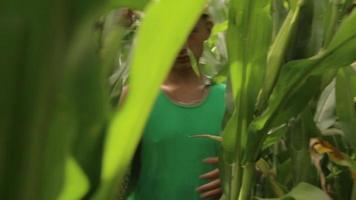 un jeune agronome avec un chapeau se faufile dans un champ de maïs