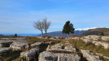 un amplio paisaje de una colina llena de rocas y árboles desnudos con varias plantas video