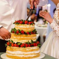 Wedding cake with strawberries and roses closeup. Dessert photo