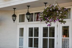 flower pot with magenta flowers hang on the street cafe photo