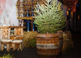 árbol de navidad en un barril de madera en la calle foto