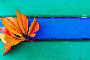 A small autumn leaf stuck between the boards. photo