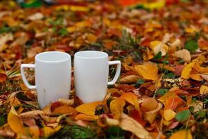 Two white porcelain cup of coffee or herbal tea , autumn fall concept Steam above Couple of mug standing near on dry yellow leaves and green grass on cold land Empty Trees park in perspective photo