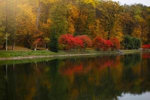 Autumn landscape in the park. photo