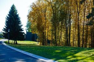 Beautiful romantic alley in a park with colorful trees and sunlight. autumn natural background photo