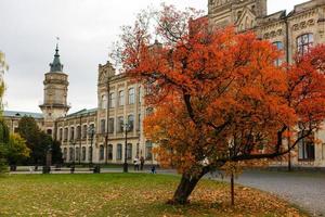 Autumn Landscape in the park, University of Kiev photo